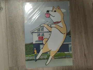 이토시노 무코 클리어 파일 이브닝