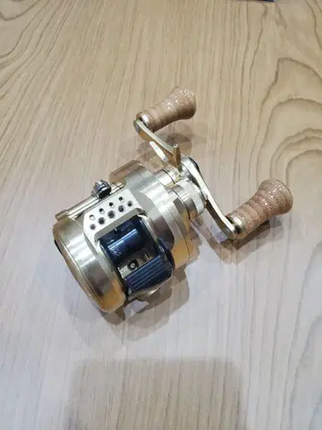 21 칼카타 콩퀘스트 100