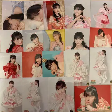 이기가리 도호쿠산 다테 카사이 브로마이드