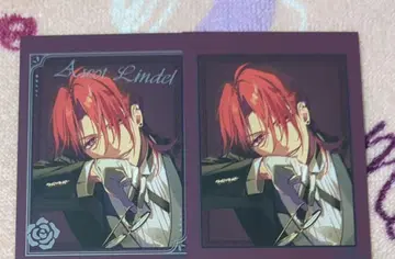 미스트니아의 날개 희망 애스콧 메이트 포토 카드 사인 포함