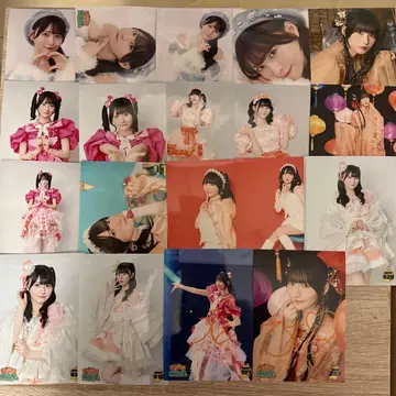 이기가리 도호쿠산 사쿠라 히나노 브로마이드