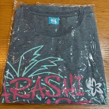 [새상품] 아라시 BLAST in Hawaii 그레이 T셔츠 하와이