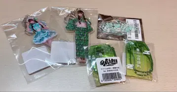 iLiFE! 와카바노아 부적 초!랜덤 아크릴 키링 아크키링