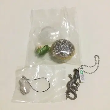 네이처 테크니컬러 세트 개구리 도마뱀