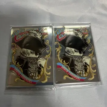 히로아카 파브미러풍 스티커 컬렉션 토도로키