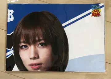 미개봉 뮤지컬 테니스의 왕자님 4th 청학 vs 히가 현수막 후지 슈스케