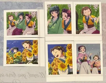 약사의 혼잣말 파샤코레 마오마오 자스민 란