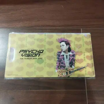 hide PSYCHO VISION 2000 마스크 케이스