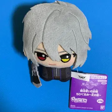 새상품 마법사의 약속 SD 인형 봉제 인형 ~북의 나라~ 오웬