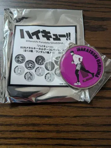 묶음 판매 가능 하이큐!! RUN 메탈 키링 컬렉션 우시지마 와카토시