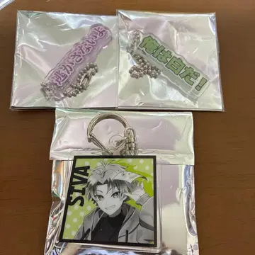 컬러풀 피치 전시회 시바 트레이딩 아크릴 키링 테롭 키링