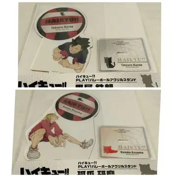 하이큐 JF 한정판 네코마 세트