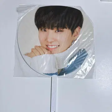 SEVENTEEN 세부치 호시 부채 say the name