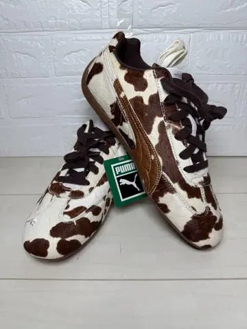 우먼 스피도캣 카우 스니커즈