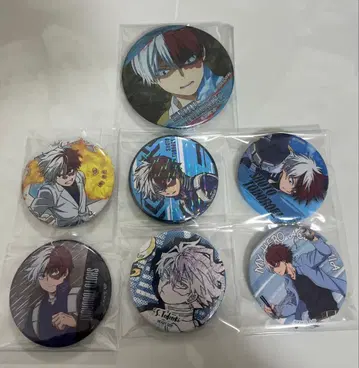 토도로키 쇼토 캔뱃지 7개 세트