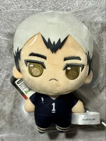 키타 신스케 푸칫슈 봉제 인형 하이큐