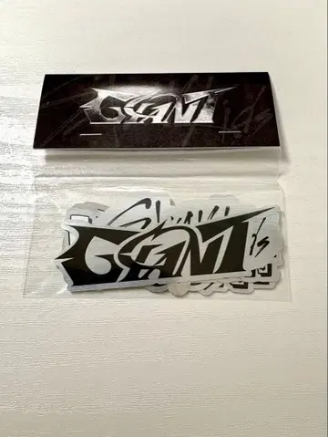 [ 새상품 미사용 ] Stray Kids GIANT 메탈 스티커