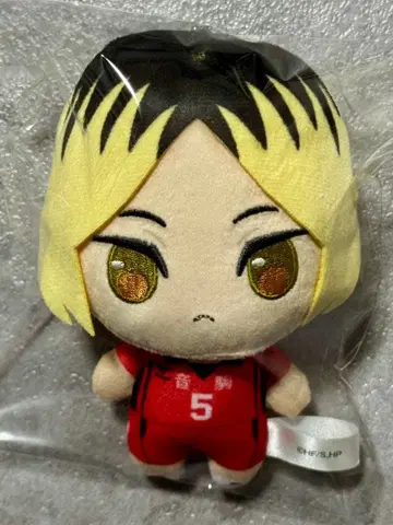 코즈메 켄마 푸칫슈 하이큐