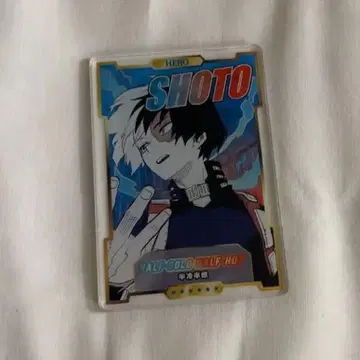 히로아카 스탯 카드 토도로키 쇼토