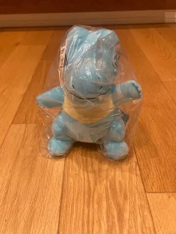 포켓몬 악비아 봉제 인형 미사용 새상품