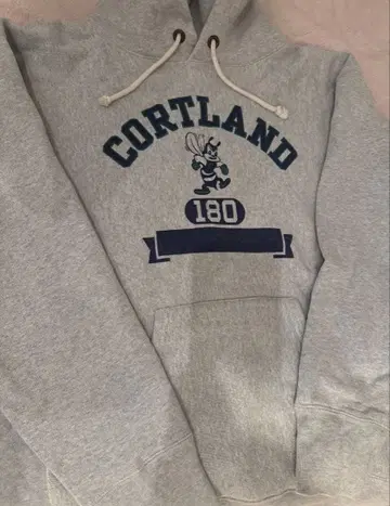 Champion Reverse Weave 후드티