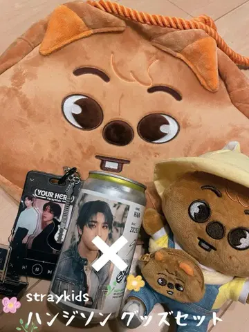 straykids 스키즈 한지성 굿즈 세트