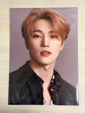 SEVENTEEN cancam 특전 디노 미니 포스터 2장 세트