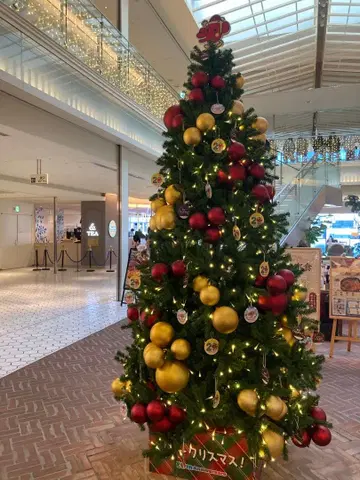 고양이와 귀멸의 나날(*^_^*)성실 대응님