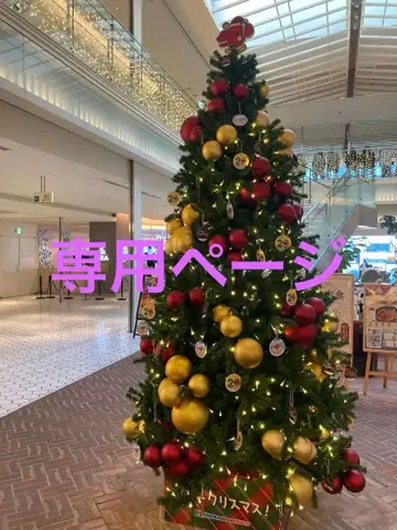 고양이와 귀멸의 나날(*^_^*)성실 대응님