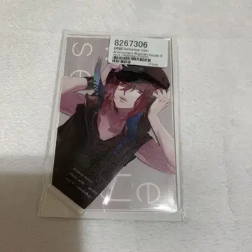 blackish house 브라하 쿠제 엔 아크릴 스탠드