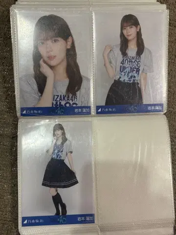 이와모토 렌카 생사진 요리 츄 히키 라이브t 언더라이브 40th 노기자카