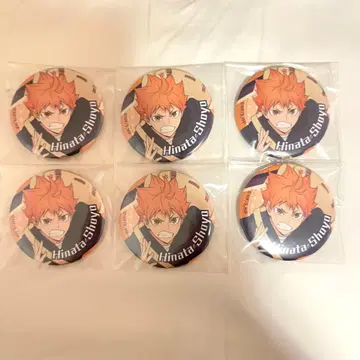 하이큐 점프 페스타 한정판 아침 연습에 GO 히나타 쇼요