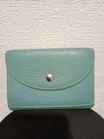 VASIC 3단 폴더형 컴팩트 지갑 라이트 블루 지갑 접이식 지갑