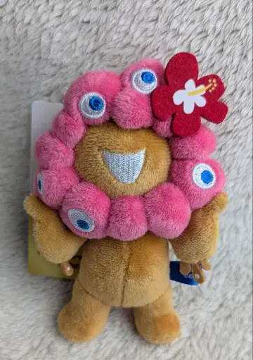 미야쿠미야쿠 일광화상 하이비스커스