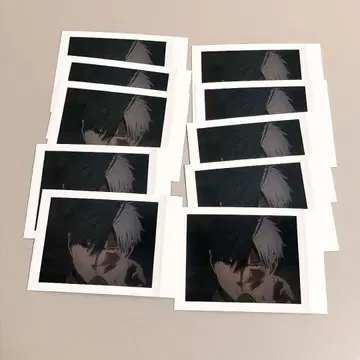 벚꽃 하루카 3 윈드브레이커 파샤코레 WIND BREAKER