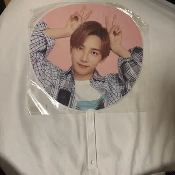 SEVENTEEN 정한 부채 CARAT CAMP