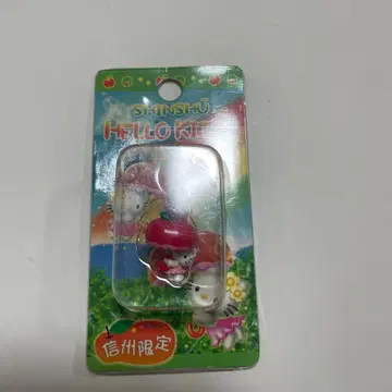 지역 한정 키티 신슈 한정판