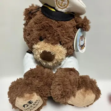 Princess cruise Stanley 곰 봉제 인형