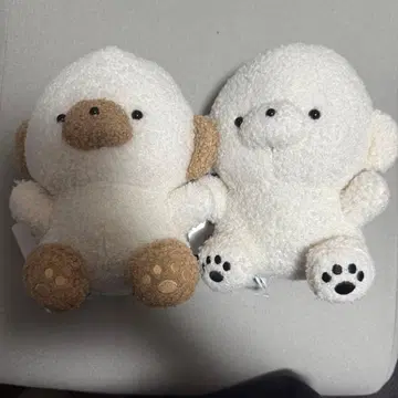 조세마루 라떼 그림 그리기 전시회 봉제 인형 생명의 무게 세트