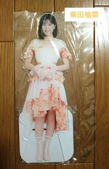 노기자카46 시바타 유나 BIG 아크릴 스탠드 lucky bag 2025