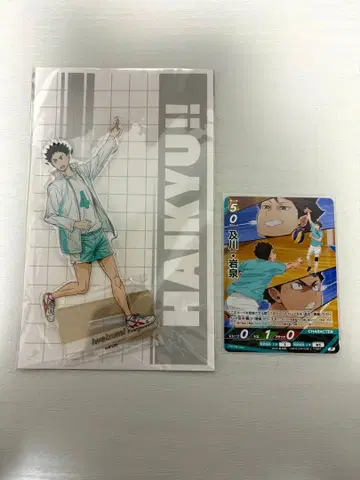 [ 새상품 미개봉 ] 하이큐!! 이와이즈미 하지메 아크릴 스탠드