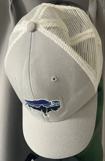 Patagonia 그레이 메쉬 캡