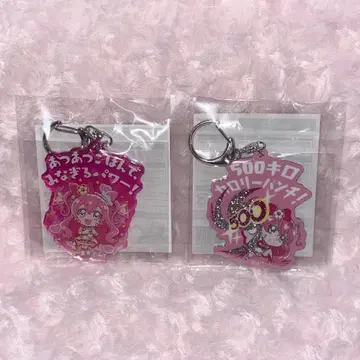 큐어 프레셔스 키링 세트