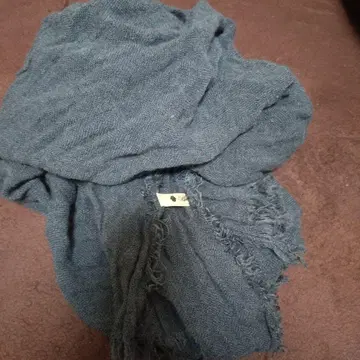 부즈루드 프리진 부착 머플러