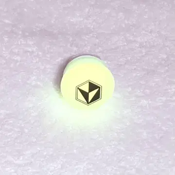 이레귤러즈 유스케 구 린라이