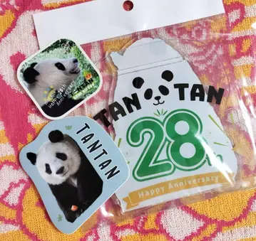 오지 동물원 탄탄 28세 기념 빅 아크릴 스탠드 스티커 씰