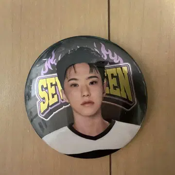 SEVENTEEN'S HOME 2025 호시 캔뱃지