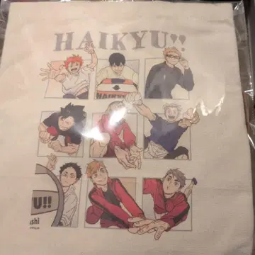 하이큐 PLAY 배구 토트백 점프 페스타 한정판