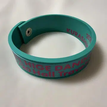 히게단 러버 밴드 [쿠라시키 공연]