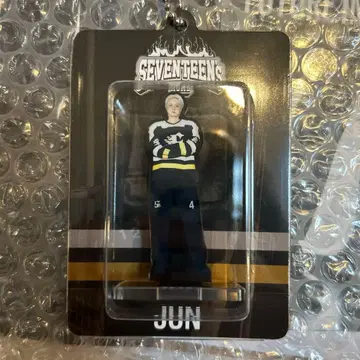 세븐틴 SEVENTEEN HOME 2025 아크릴 키링 준